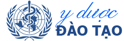 Đào tạo y dược